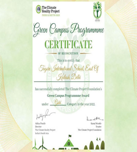 White and Gold Modern Appreciation Certificate 1